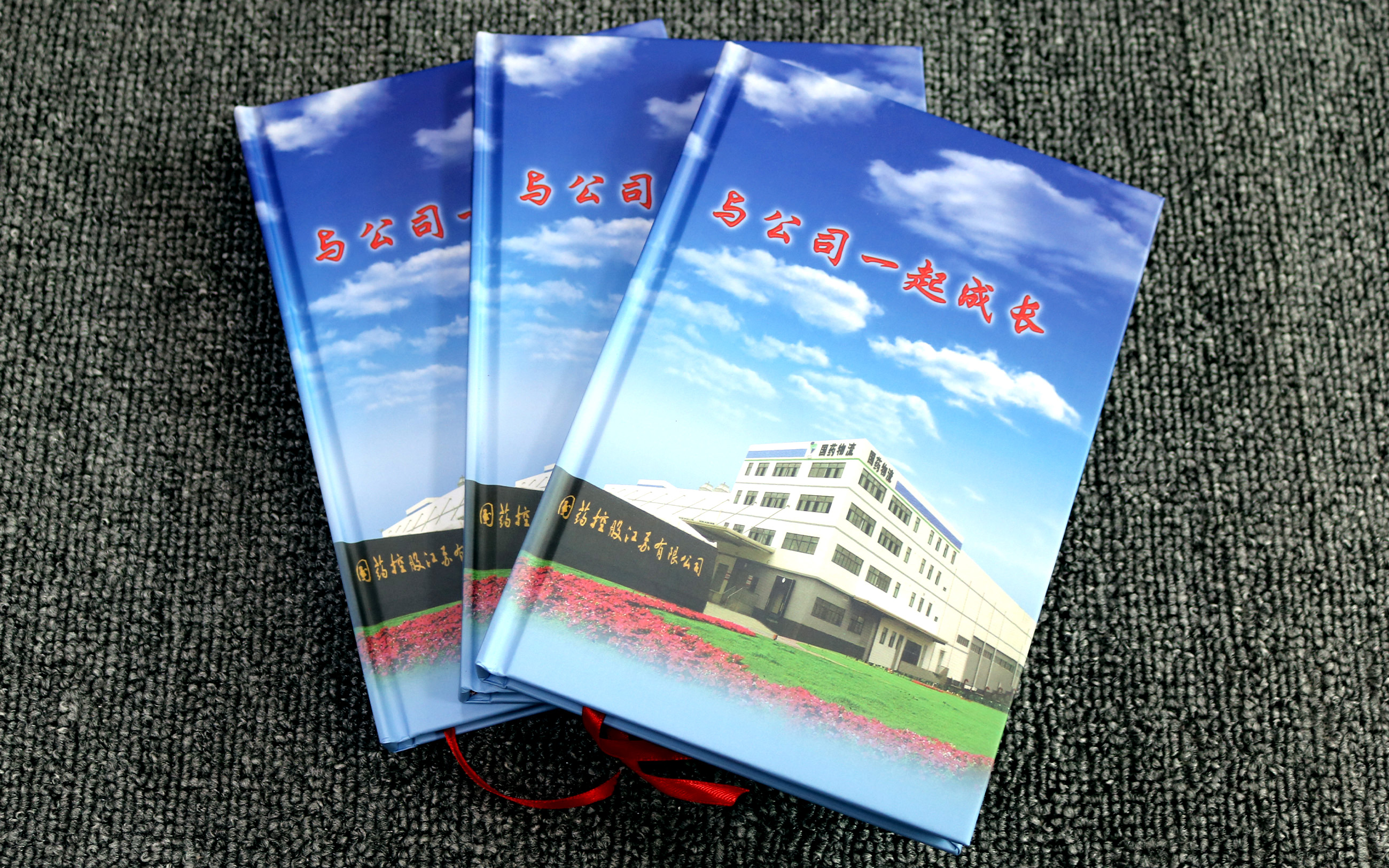 回忆录精装画册印刷